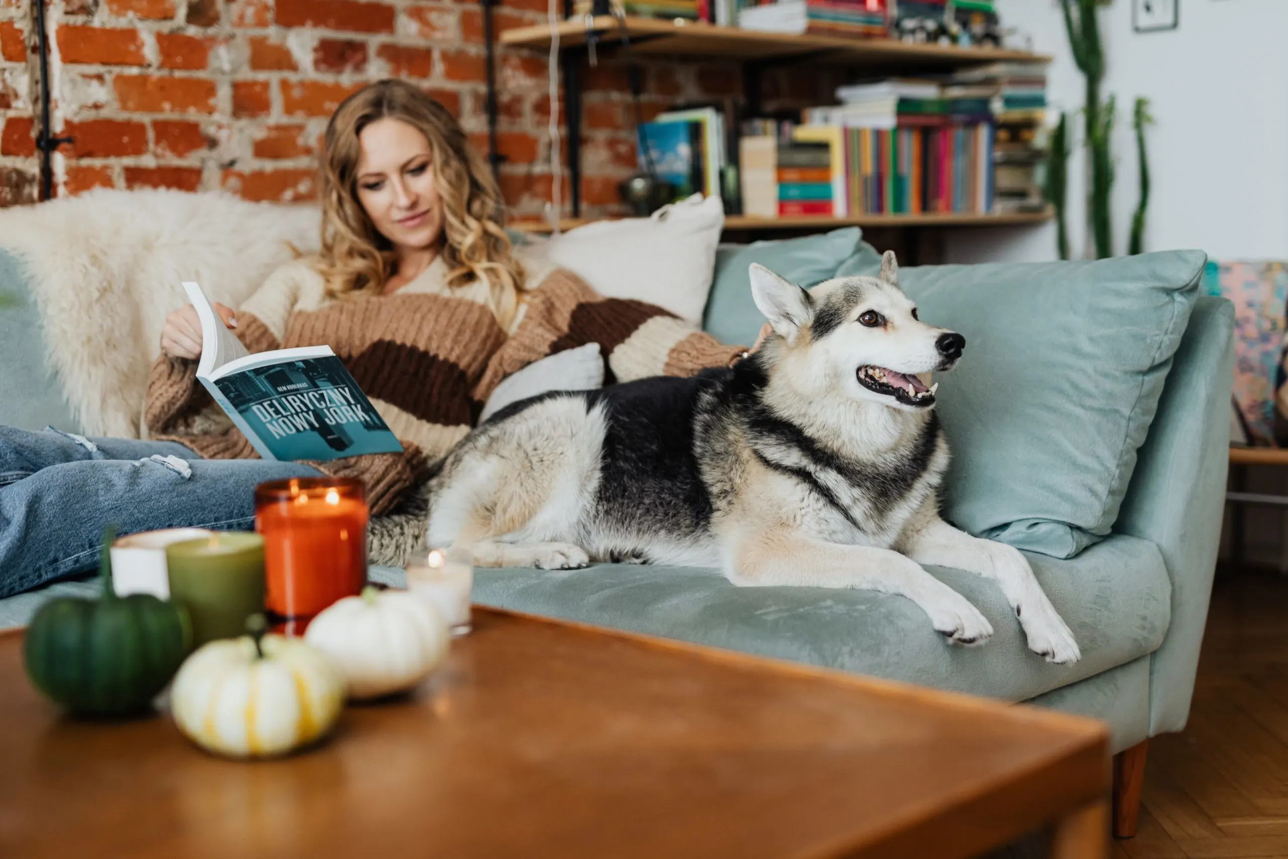 A dog and a woman on a couch