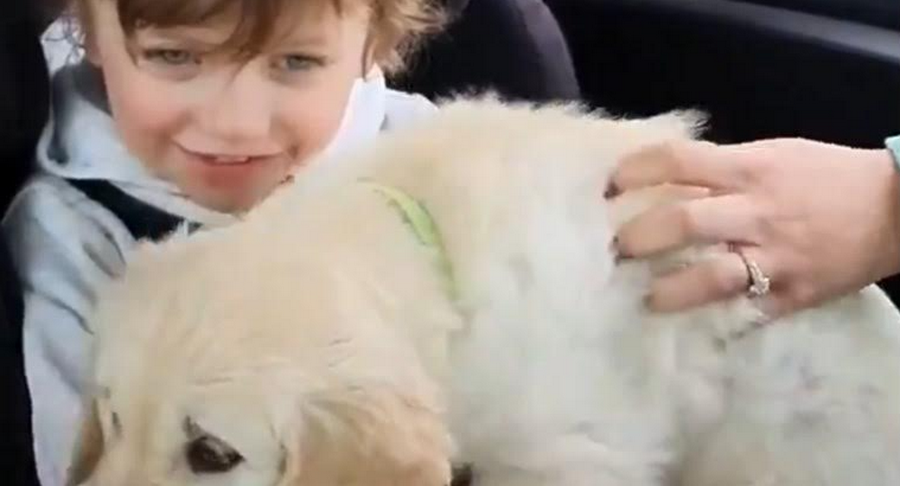 A Boy With Autism Got A Furry Friend, The Moment They Met Is Wonderful