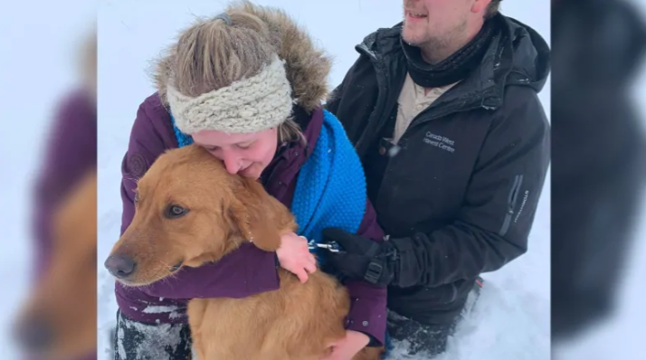 Louie the Golden retriever found safe thanks to another dog after missing for 3 days