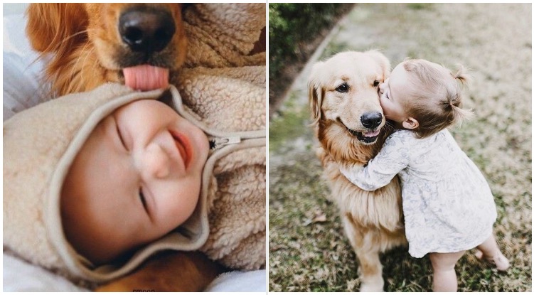 8 Reasons Why Every Kid Needs A Golden Retriever