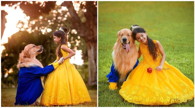 Girl And Her Golden Retriever Had The Most Adorable “Beauty And The Beast” Themed Photo Shooting