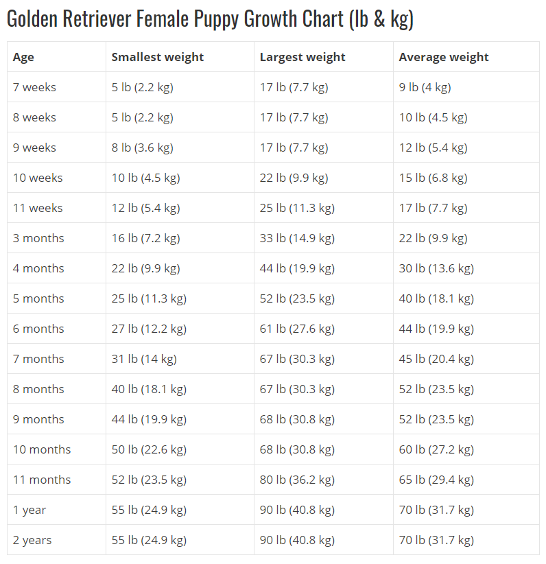 25+ Golden Retriever Weight Chart Kg Pic - Codepromos