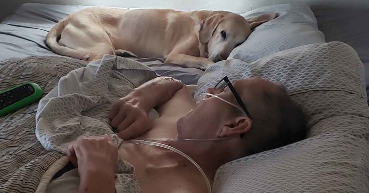 Heartbreaking story: Veteran and his beloved dog pass away within hours of each other