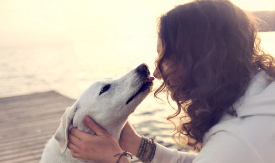 Does my dog love me? How canines show affection