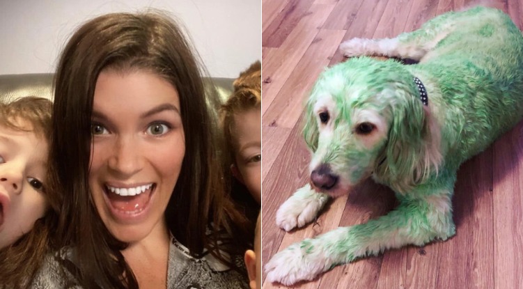 Extreme Elf on the Shelf prank gone wrong: Mom who dyed her dog green is facing major backlash!