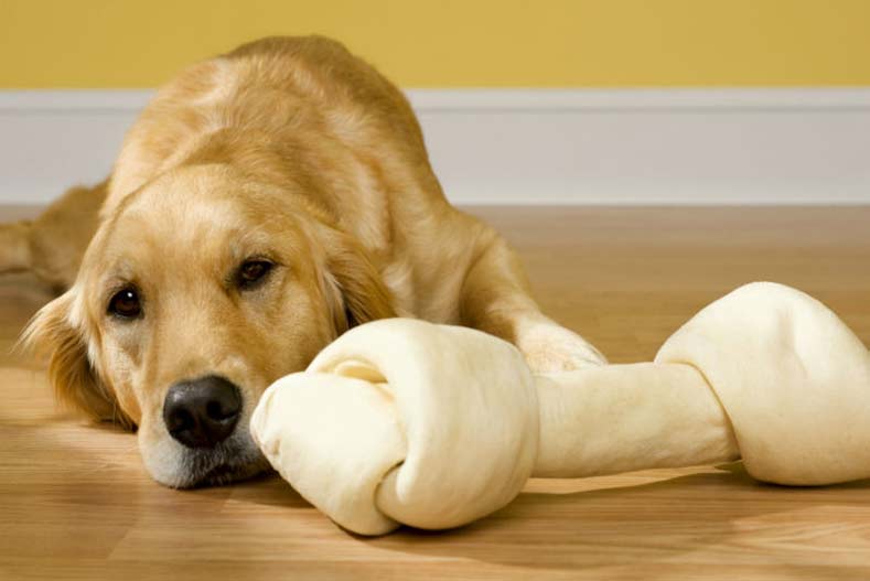 Attention dog owners: Bone treats are very dangerous for your pet, FDA says!
