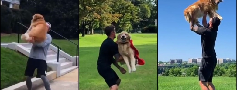 See how this golden retriever greets its owner