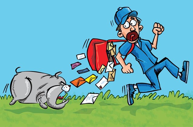 Have you ever wondered why your dog barks at the mail carrier?