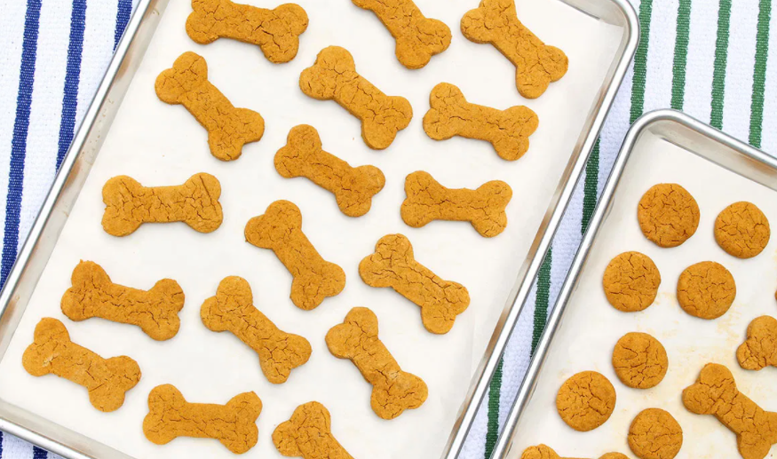 Three easy dog treat recipes made with only five ingredients or less!
