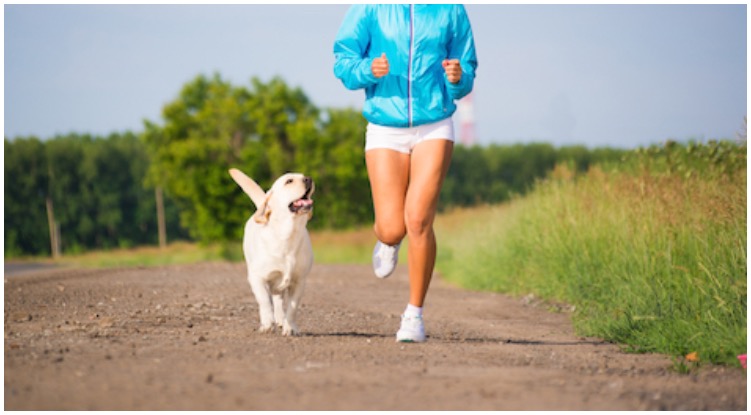 Why It’s Important To Exercise Your Dog After Neutering Or Spaying