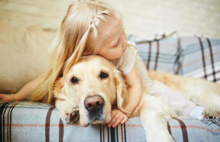 Are Golden retrievers good with kids?