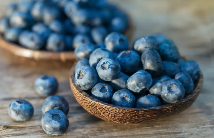 Can dogs eat blueberries?