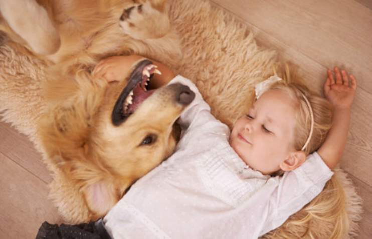 Are Golden retrievers good with kids? - Golden retriever with child