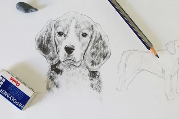 drawing of a dog