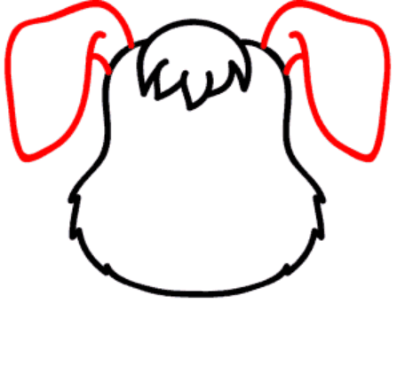 How to draw a dog's ears