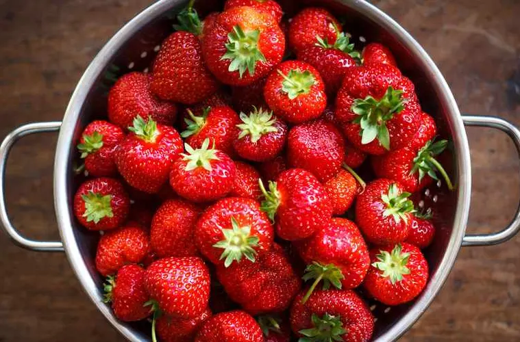 Delicious strawberries, but can dogs eat strawberries?