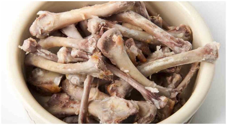 Cooked or raw chicken bones are the one food you never want to give dogs