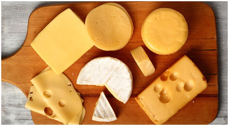 Which type of cheese is best for dogs