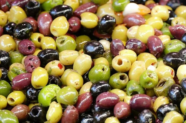 Are olives safe for dogs to eat