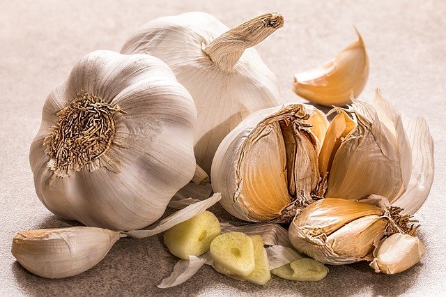 Garlic, toxic food for dogs