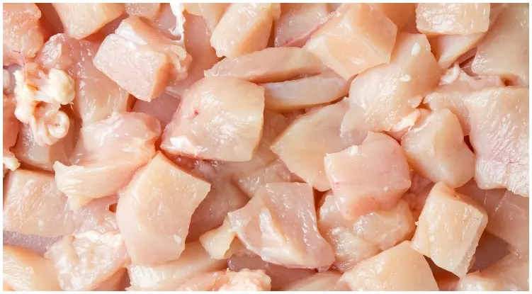 Is raw chicken safe for dogs and which food is good or bad for dogs 