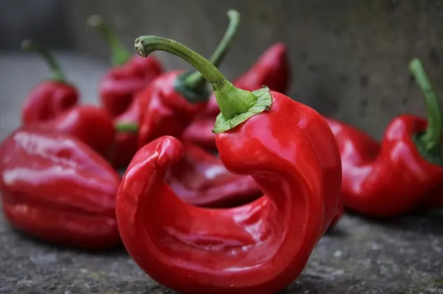 Red peppers, a perfect snack for dogs