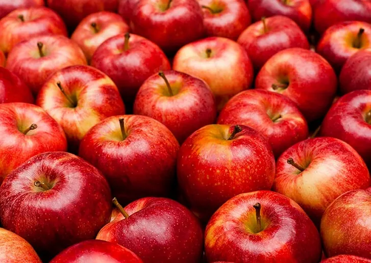 What fruits can dogs eat - apples are one of those fruits that are safe for dogs to eat