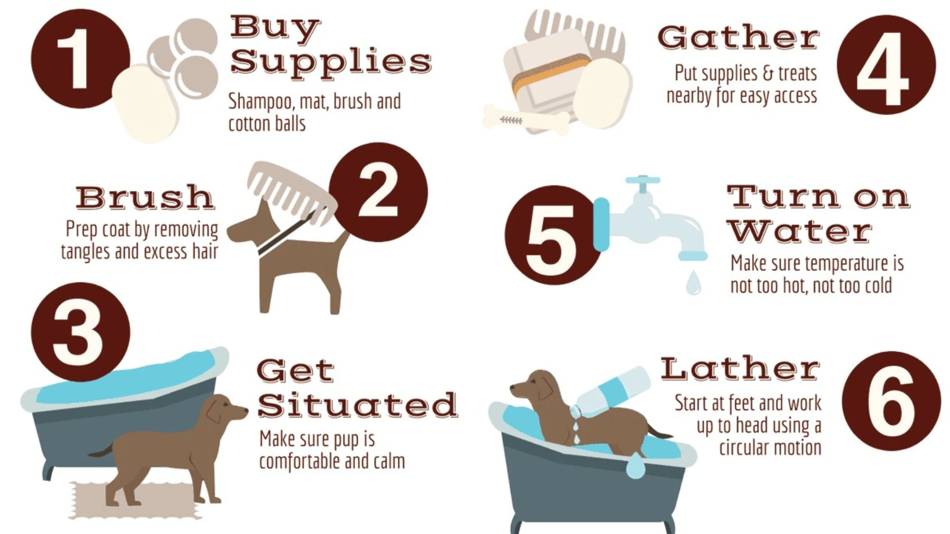 Tips on how to bathe your dog