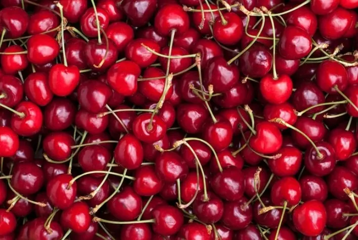 Juicy red cherries