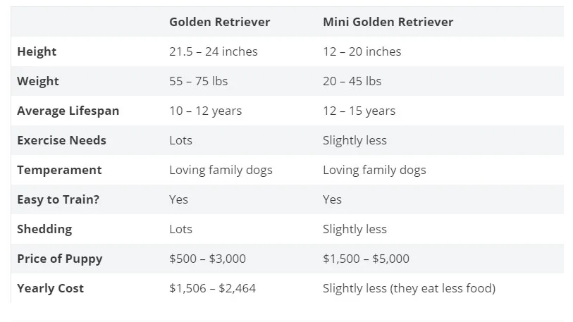 Differences between the Golden retriever and the <span style=