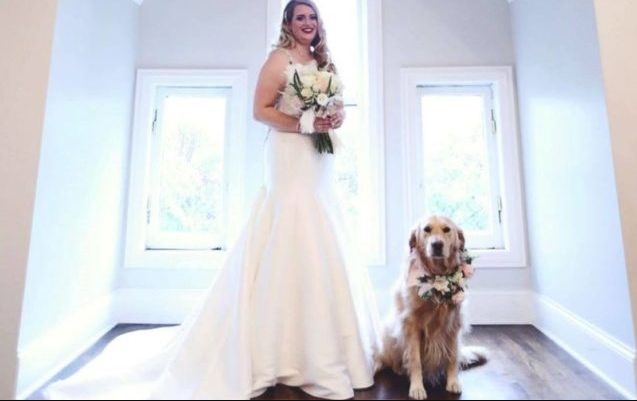 Golden Retriever Serves As Flower Girl At Her Pawrents’ Wedding