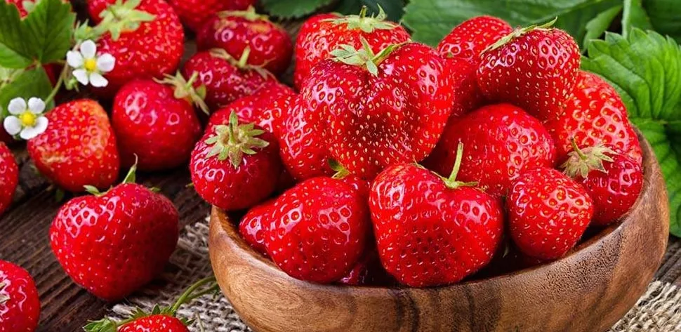 Delicious Strawberries