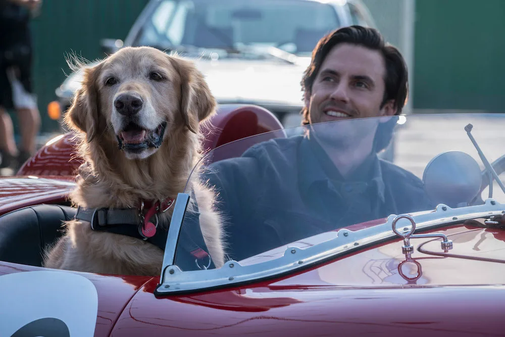 Scene from the movie The Art of Racing in the Rain