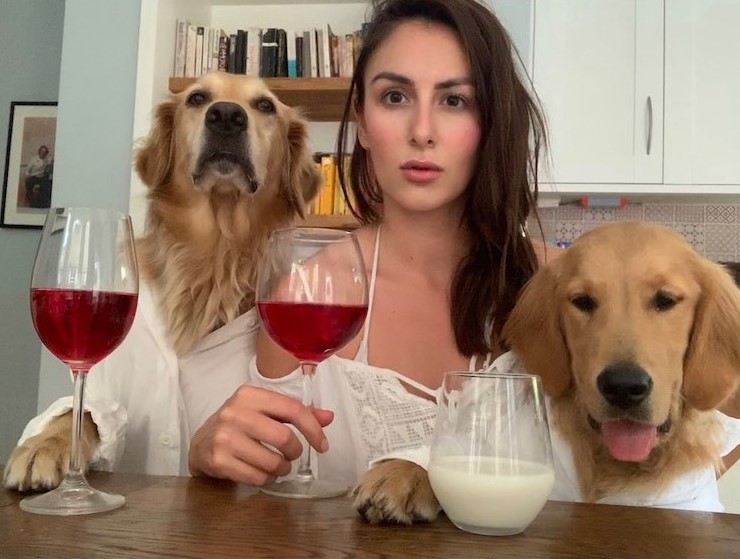 golden retrievers drinking with owner
