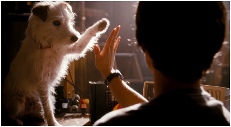 An image showing a scene from the movie Hotel for dogs