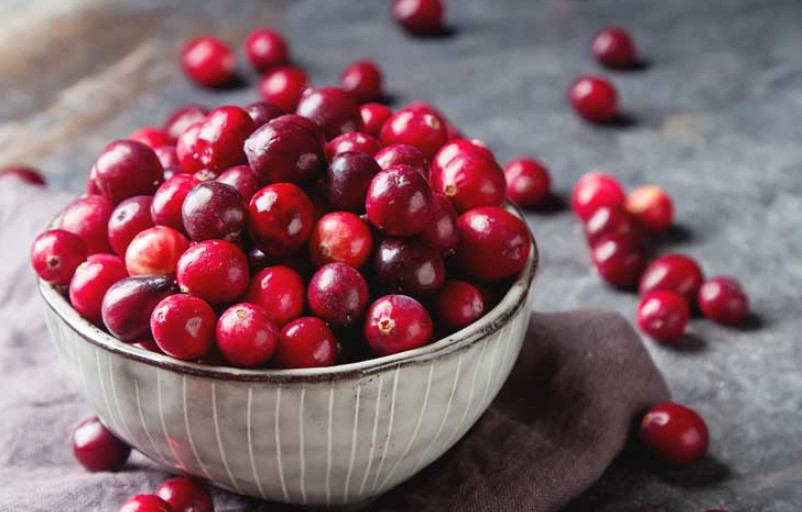 A picture of cranberries in order to answer can dogs have cranberries