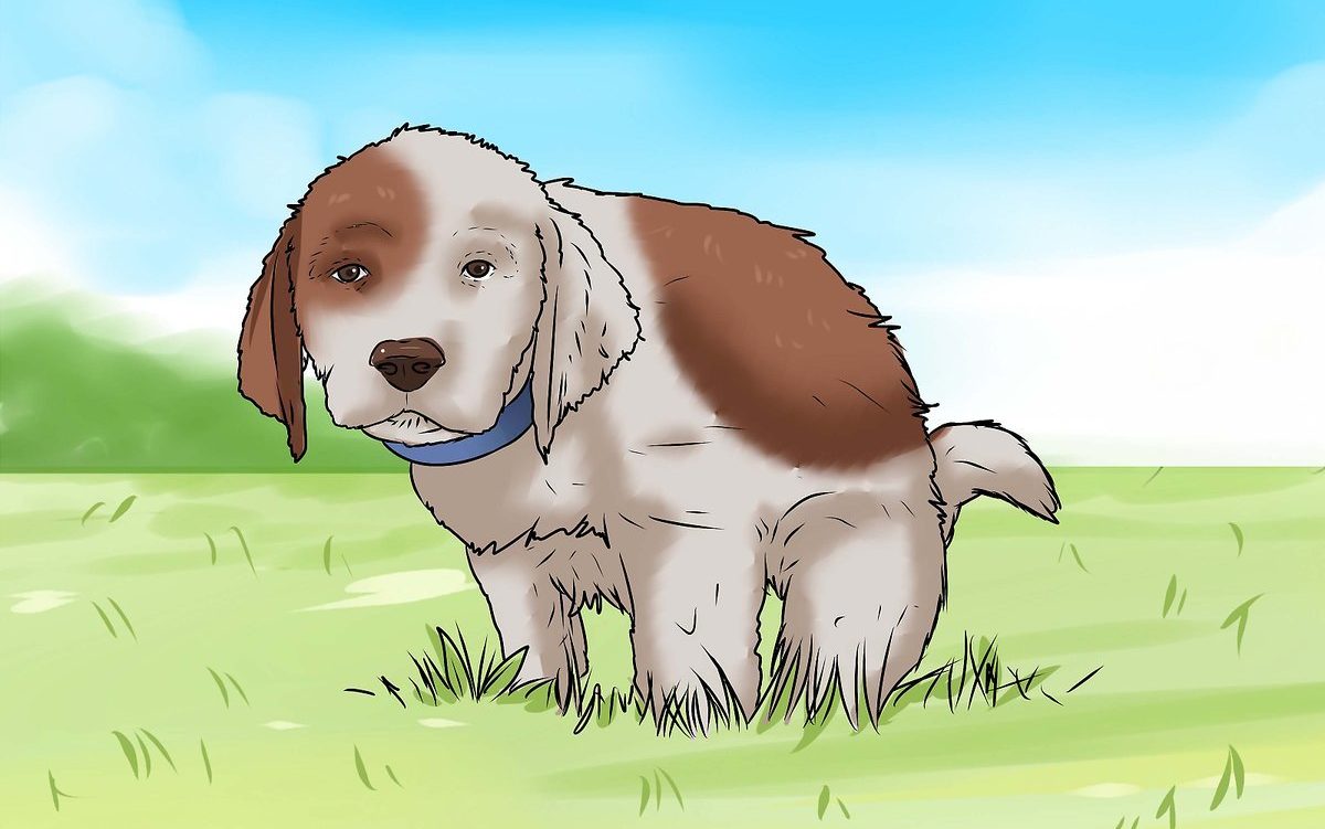 A drawing of a dog