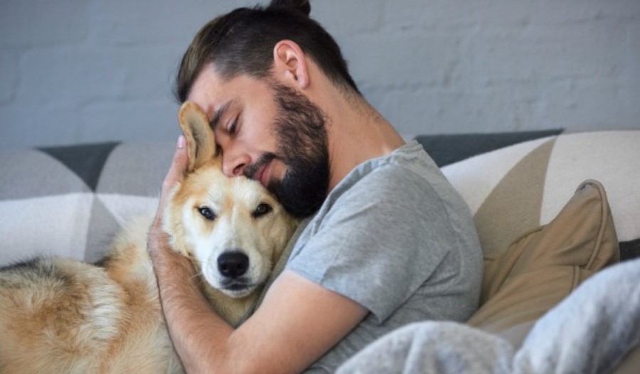 Man hugging a dog in order to answer the question do dogs like hugs?