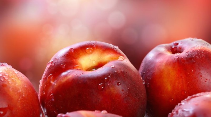 Can dogs eat nectarines? Sweet and healthy, but are they safe?