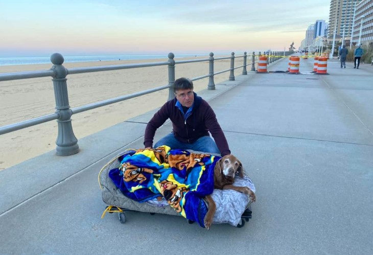 owners took an old golden retriever on the beach for the last time