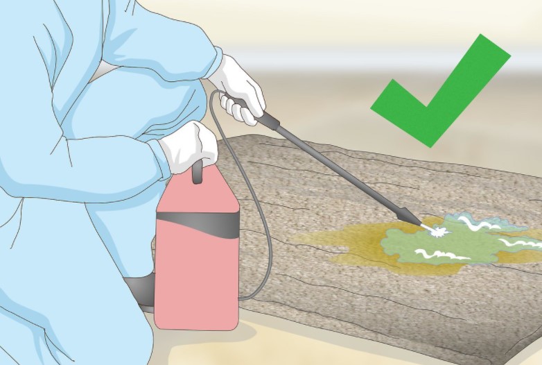 An illustration in order to explainHow to get dog pee out of carpet