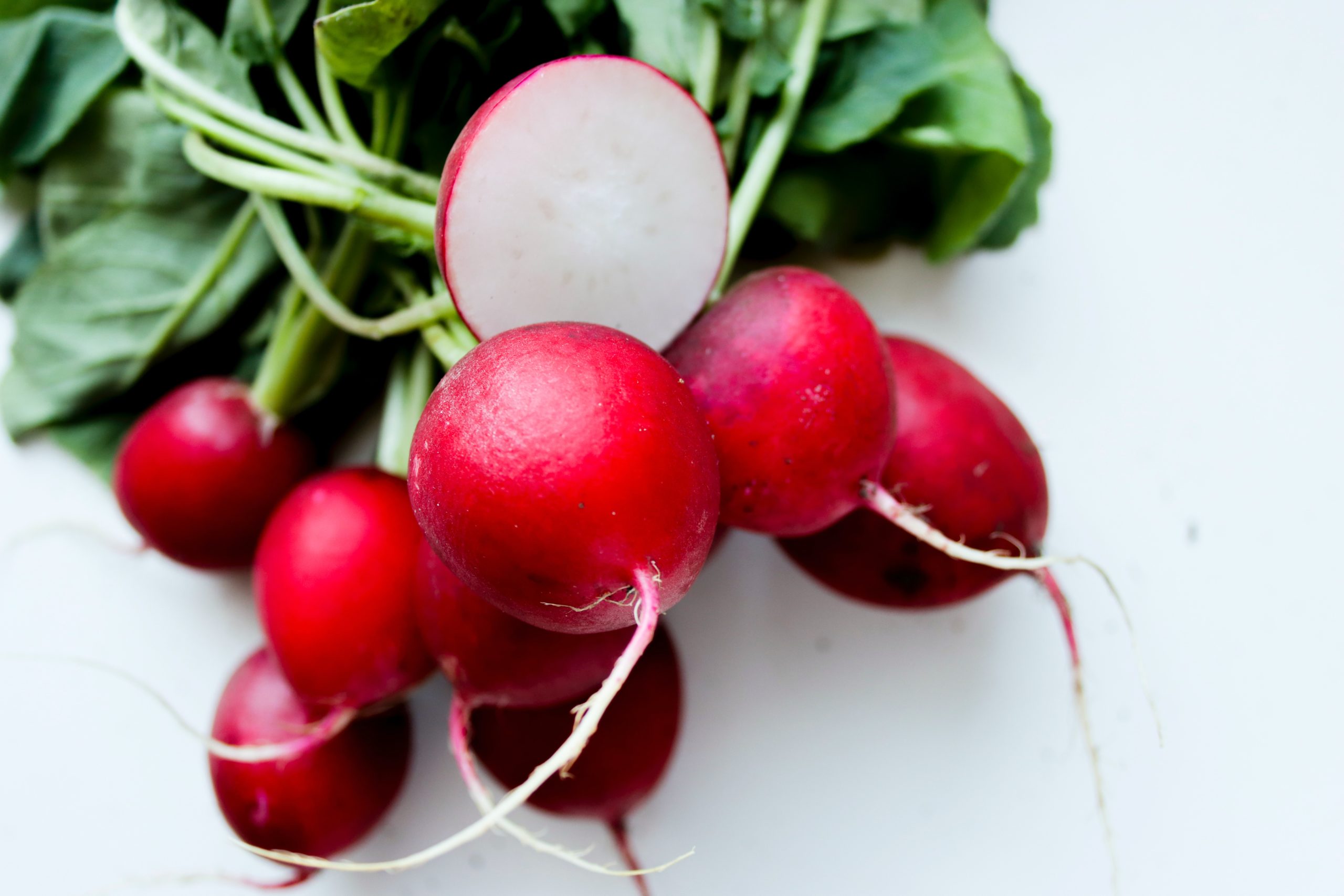 can dogs eat radishes