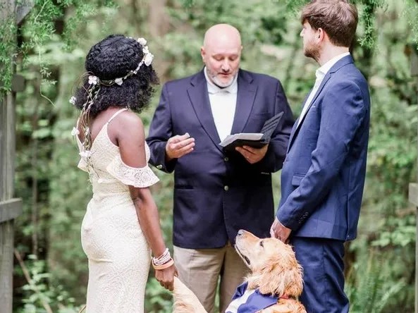 golden retriever as a best man on his owner's wedding