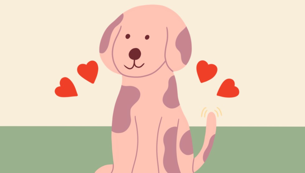 Do dogs feel love or are we just projecting?