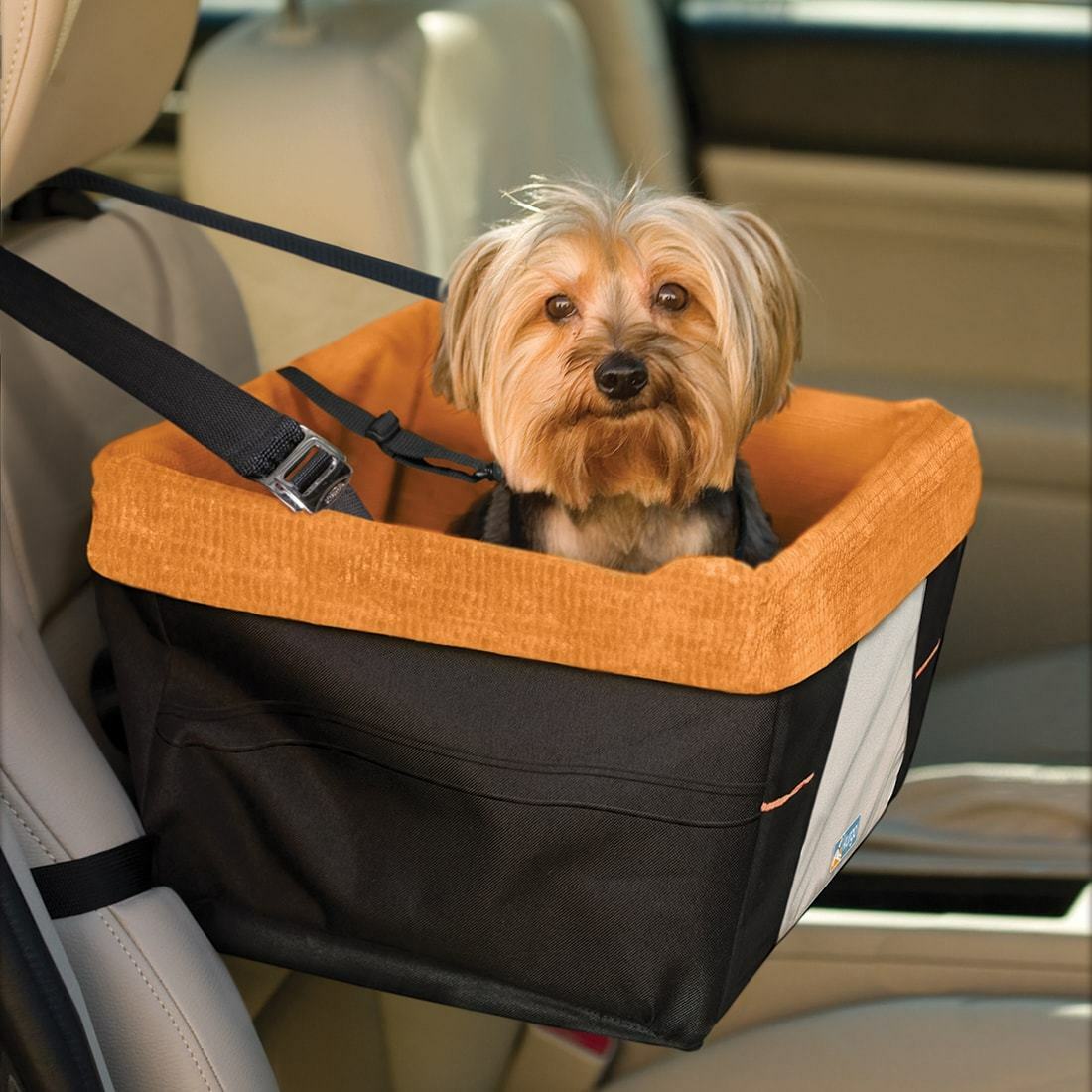 Dog Car Seat: An Item Every Dog Owner Needs