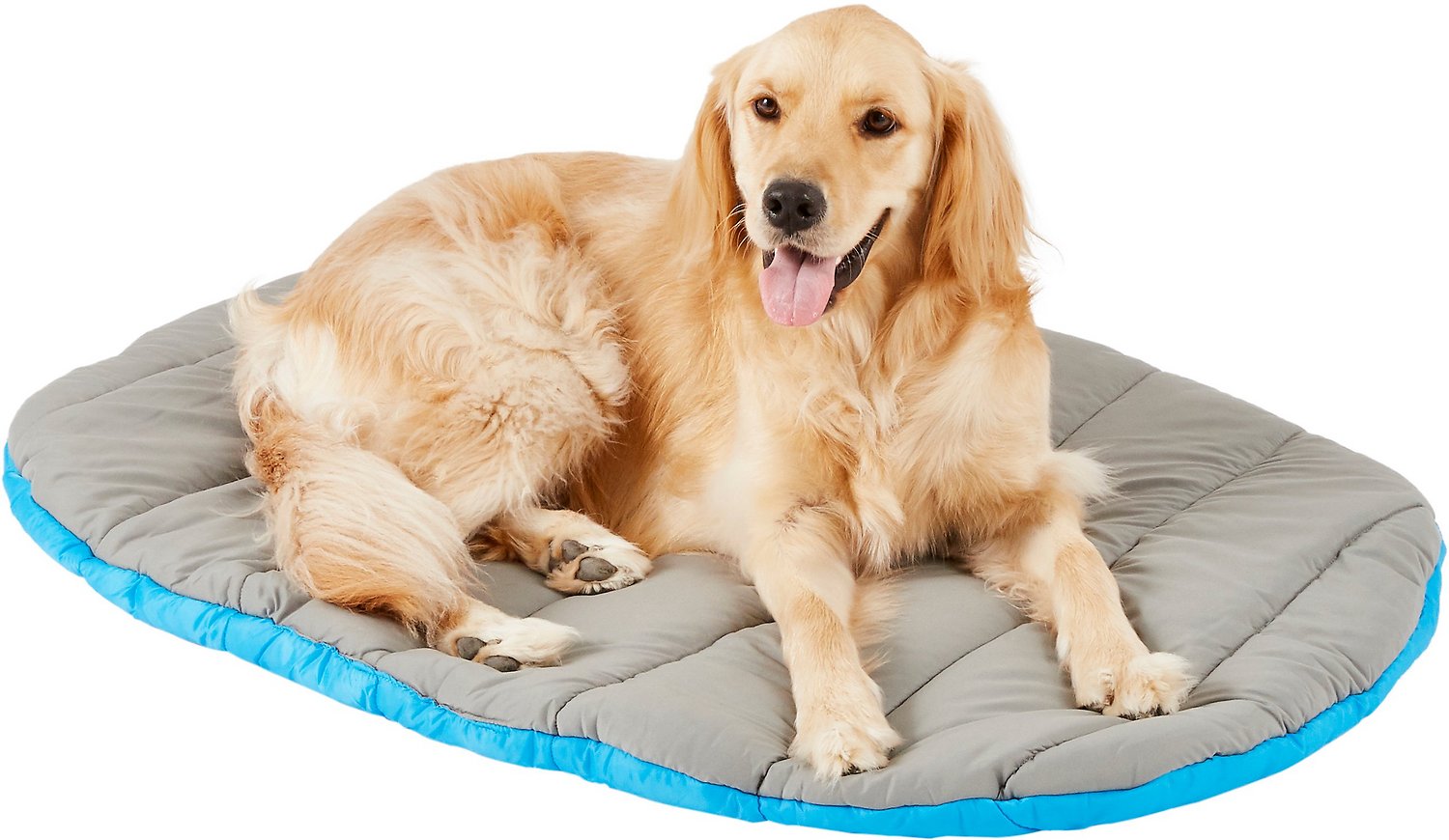 Dog Camping Bed: Things To Consider When Buying One