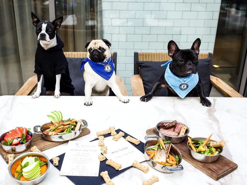 the willson dog-friendly restaurant