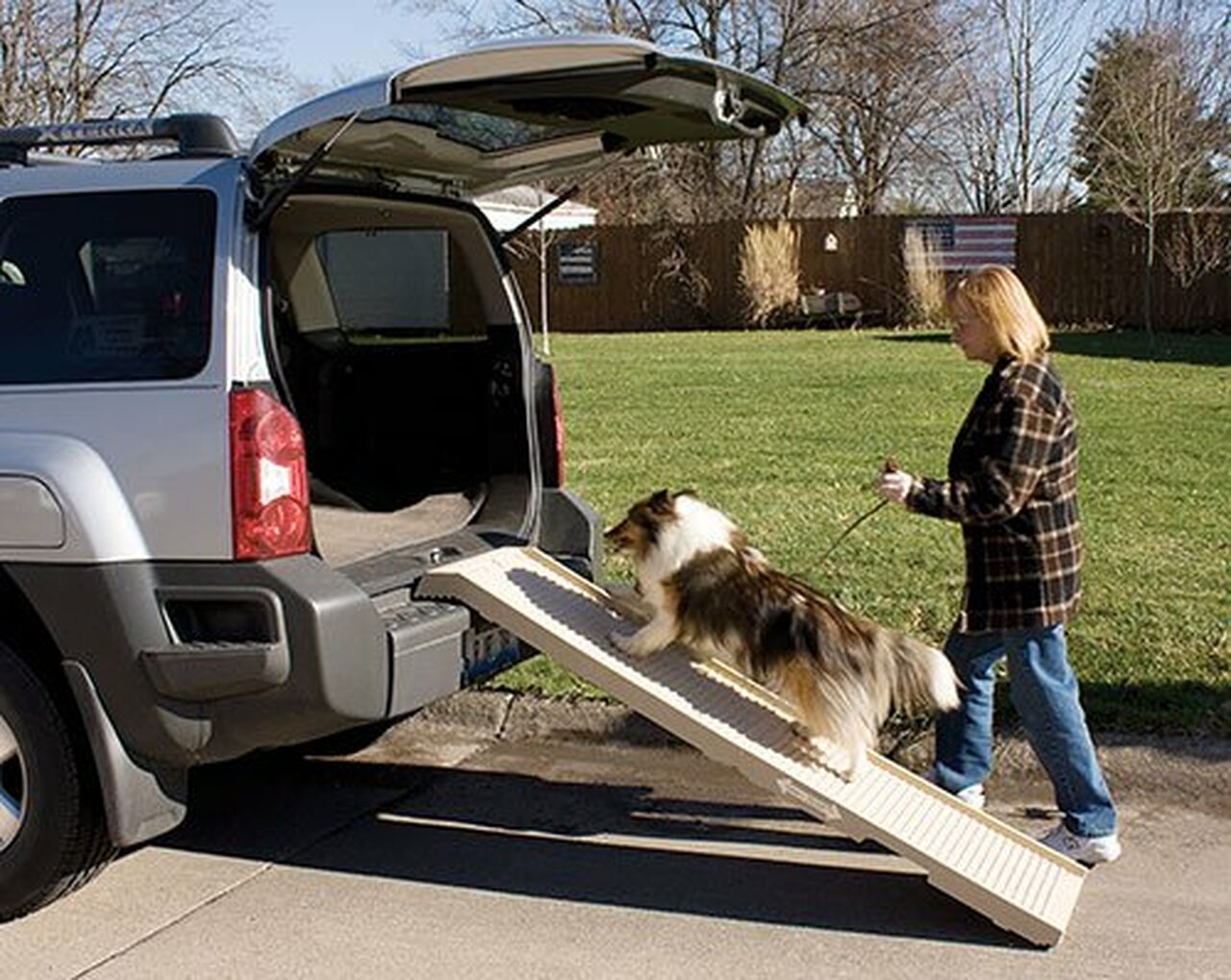 Dog Ramp For Car