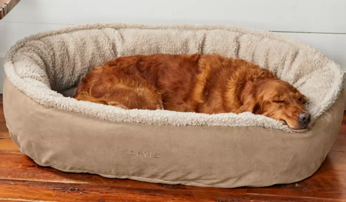 Orvis Dog Beds: Quality, Tradition & Comfort