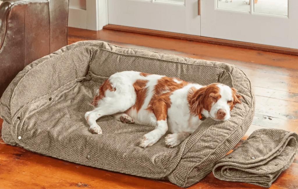 Orvis Dog Beds